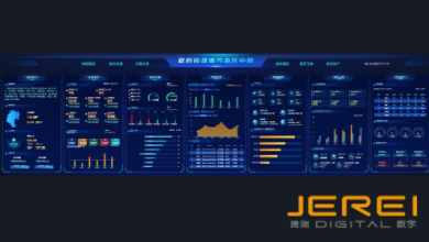 數(shù)字政府可視化